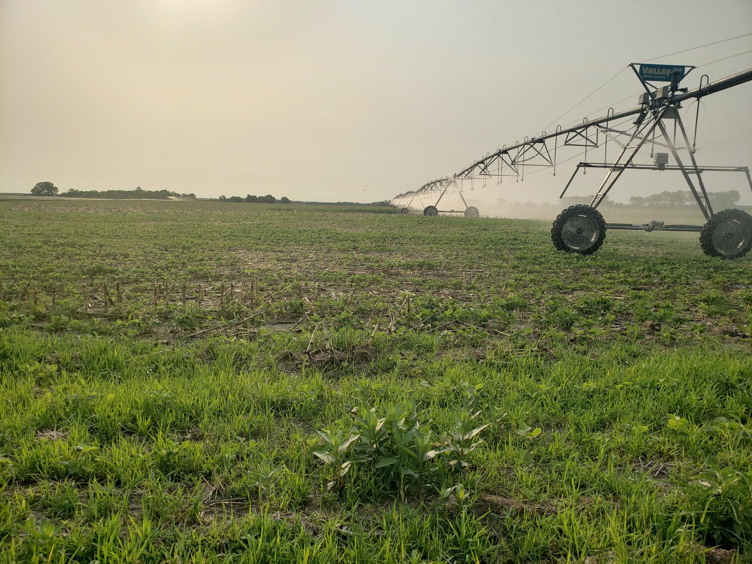 Image for 310.9+/- Deeded Acres in Garfield County, NE with Irrigated Acres and Recreational Property