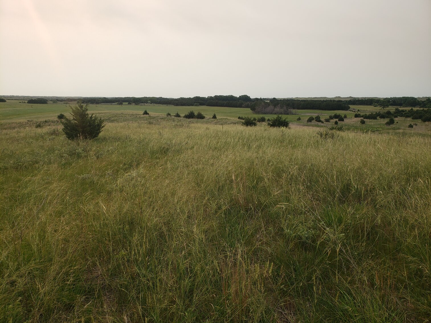 Image for 310.9+/- Deeded Acres in Garfield County, NE with Irrigated Acres and Recreational Property