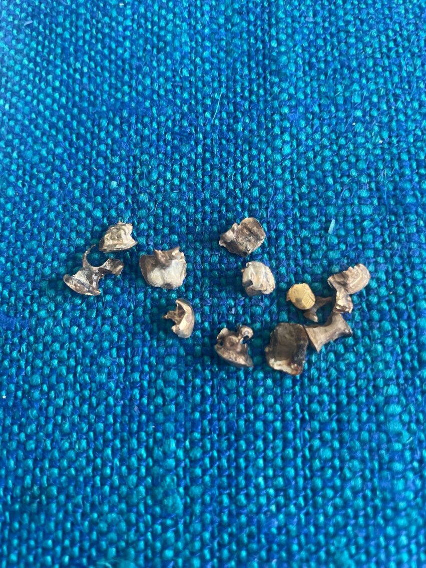 Image for Vehicle, Tools, Furniture, Paintings, Home Decor, Jewelry, Coins, Appliances, Kitchen Items (Woodhall)