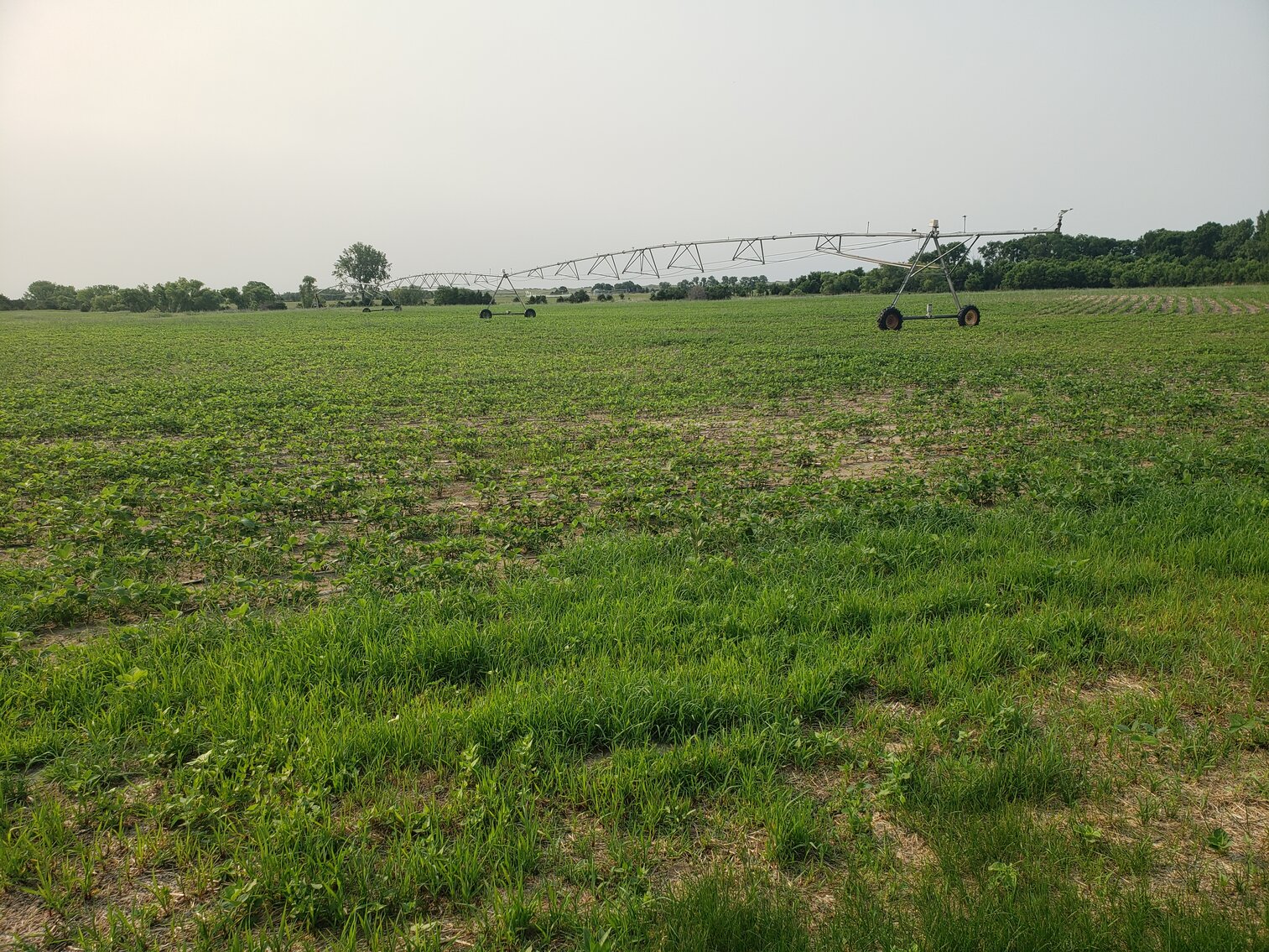 Image for 310.9+/- Deeded Acres in Garfield County, NE with Irrigated Acres and Recreational Property