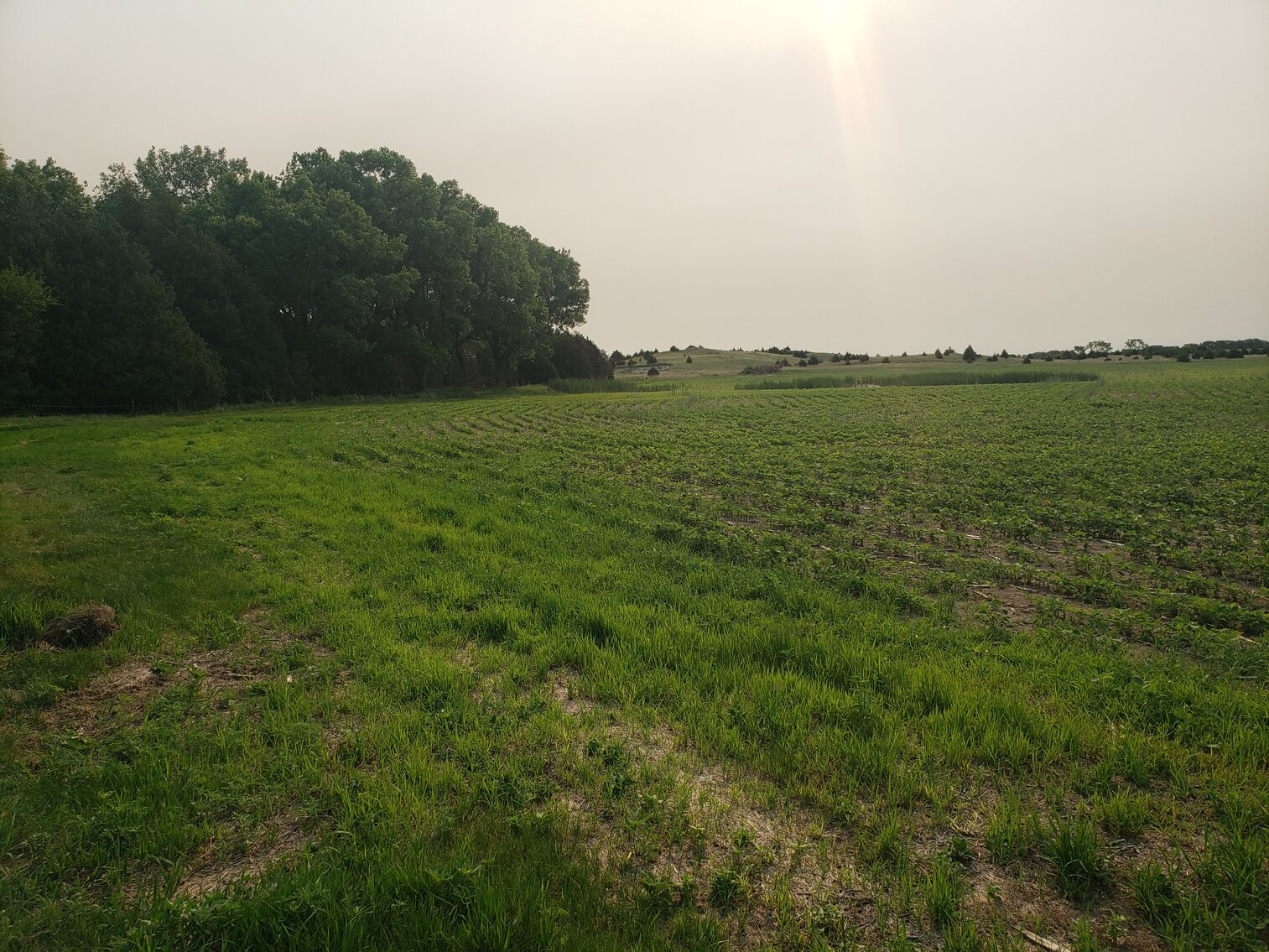 Image for 310.9+/- Deeded Acres in Garfield County, NE with Irrigated Acres and Recreational Property