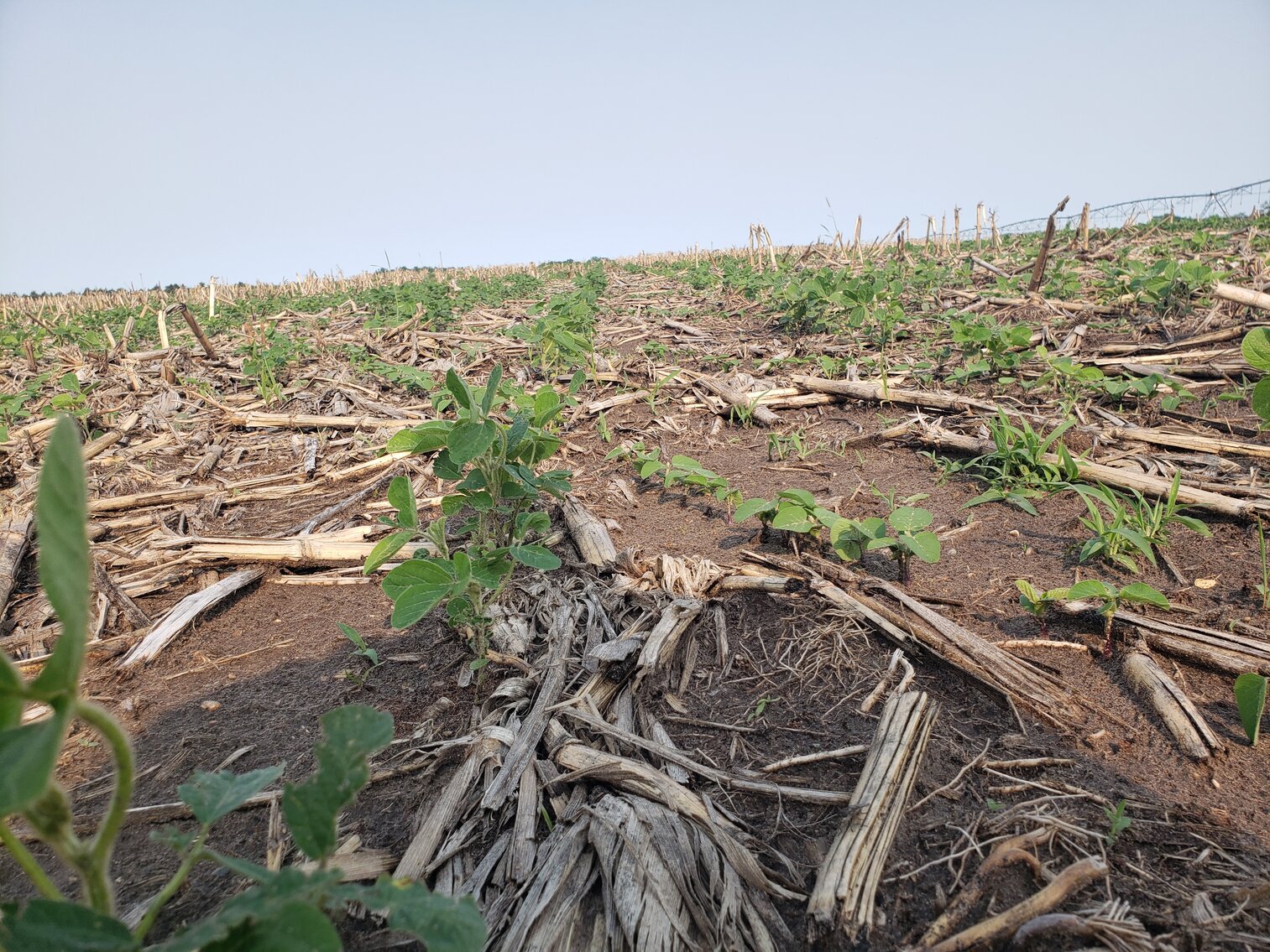 Image for 310.9+/- Deeded Acres in Garfield County, NE with Irrigated Acres and Recreational Property