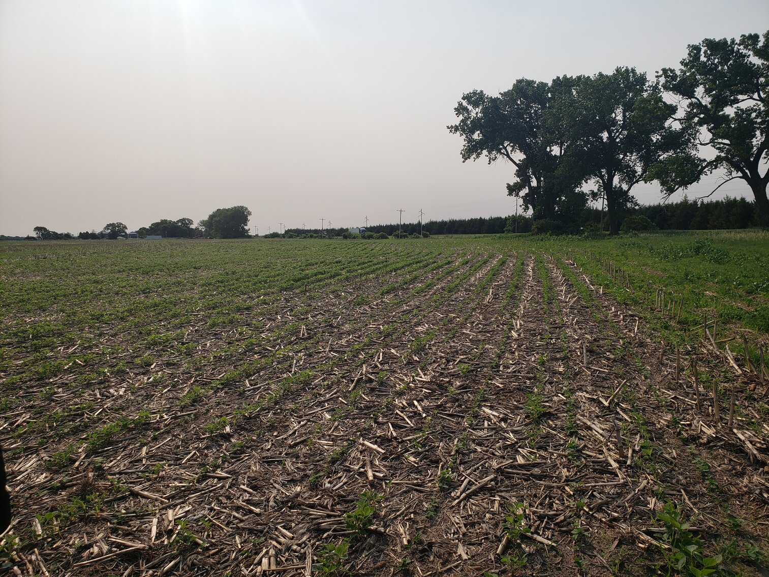 Image for 310.9+/- Deeded Acres in Garfield County, NE with Irrigated Acres and Recreational Property