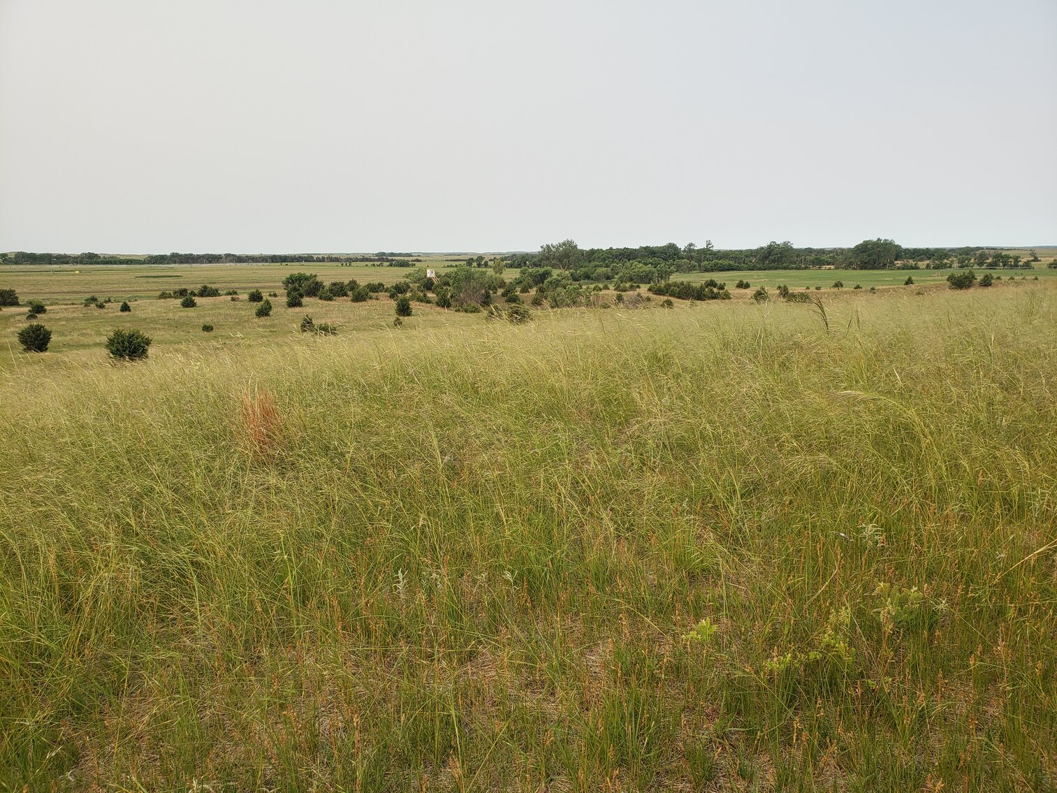 Image for 310.9+/- Deeded Acres in Garfield County, NE with Irrigated Acres and Recreational Property