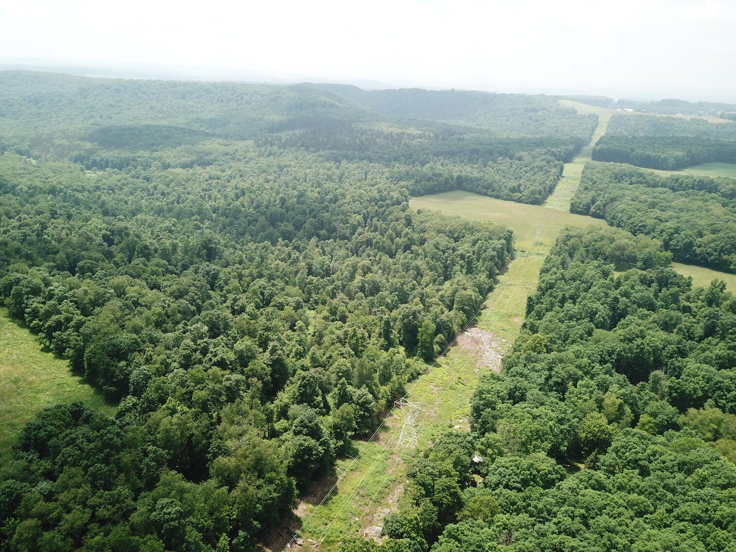 Image for SOLD $440,000 - 110 Acres with Oil & Gas in Preston County