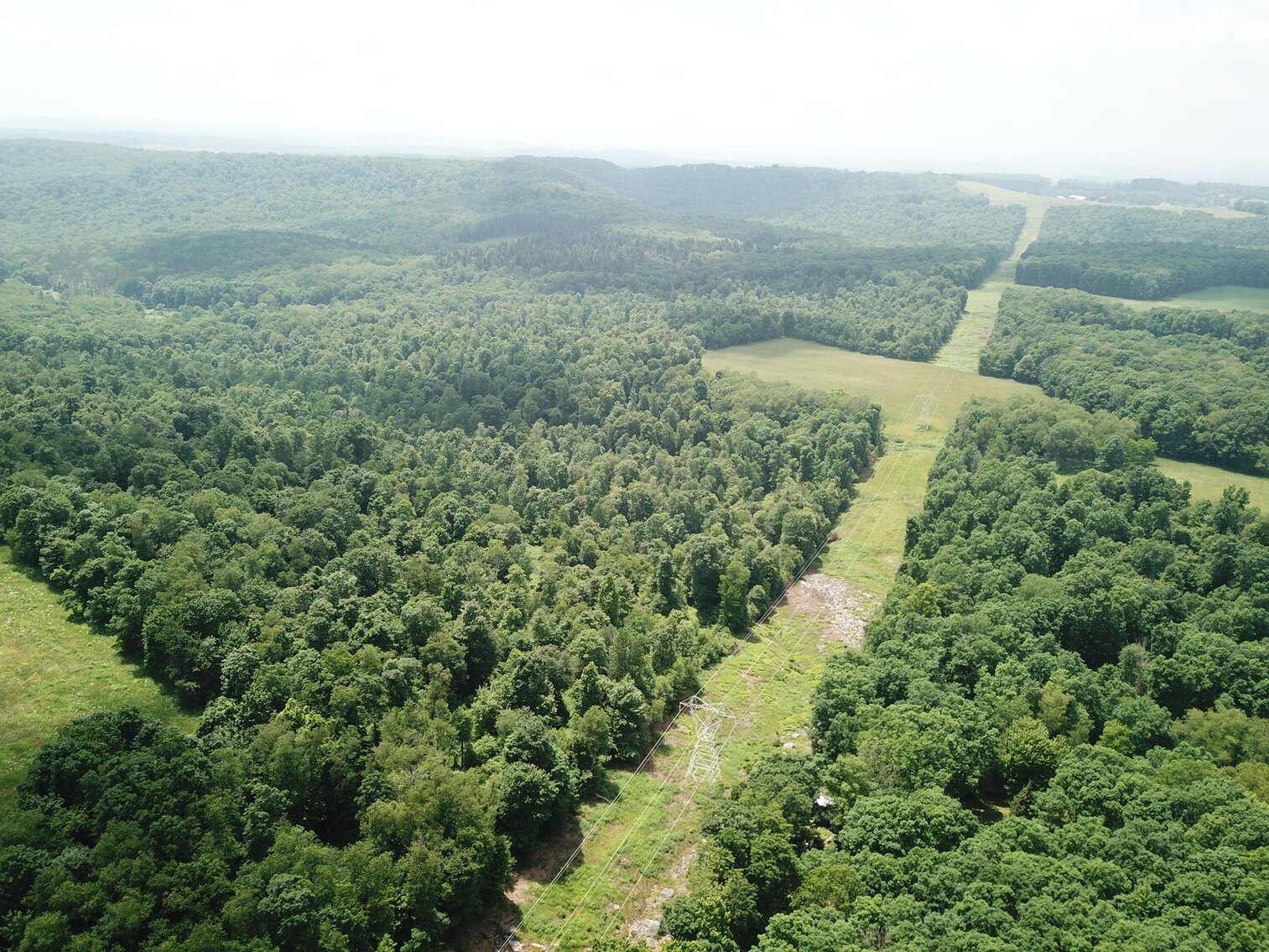 Image for SOLD $440,000 - 110 Acres with Oil & Gas in Preston County