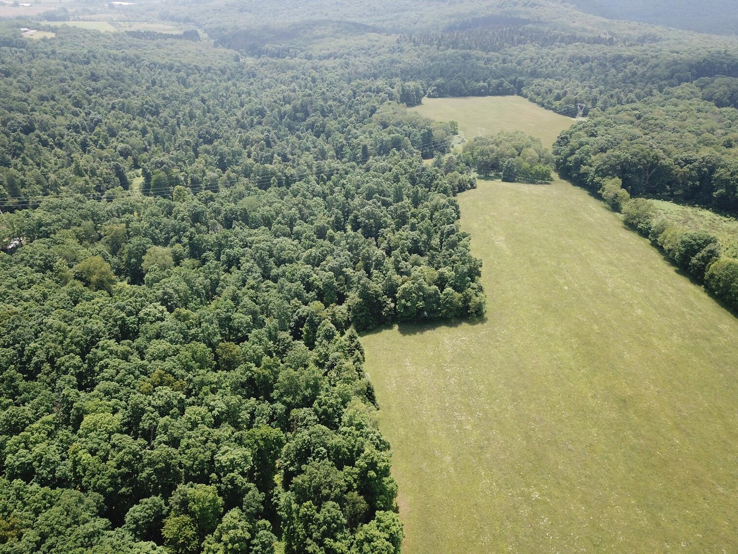 Image for SOLD $440,000 - 110 Acres with Oil & Gas in Preston County