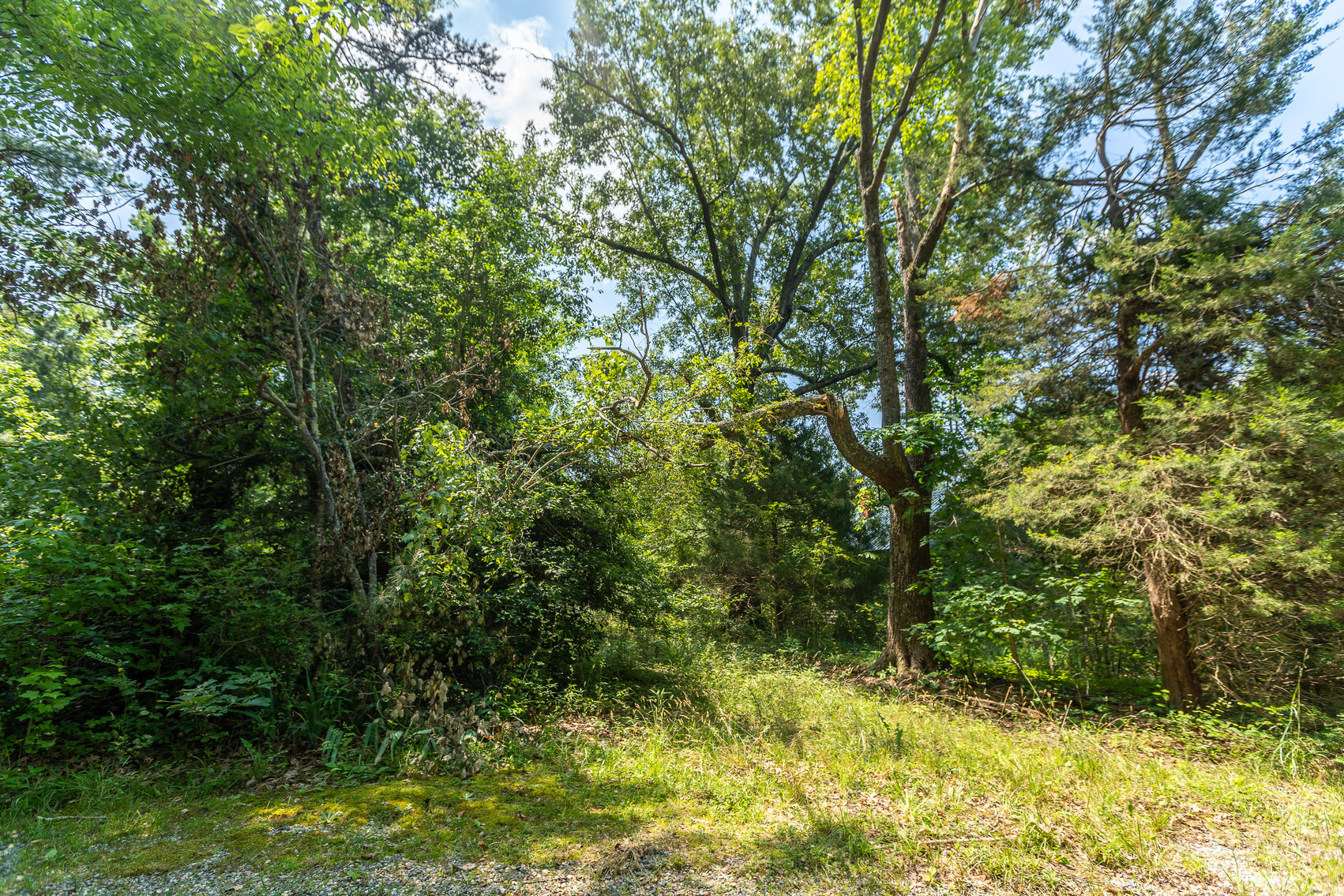 Image for Caroline County, VA Sale of Tax Delinquent Real Estate