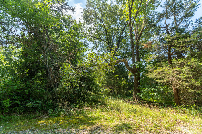 Image for Caroline County, VA Sale of Tax Delinquent Real Estate