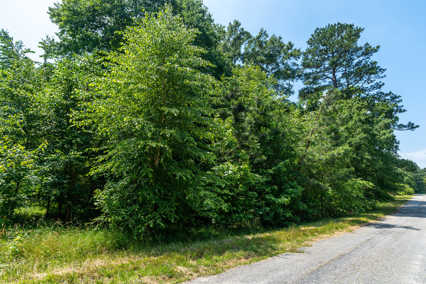 Image for Caroline County, VA Sale of Tax Delinquent Real Estate