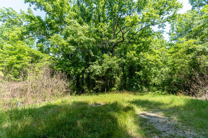 Image for Caroline County, VA Sale of Tax Delinquent Real Estate