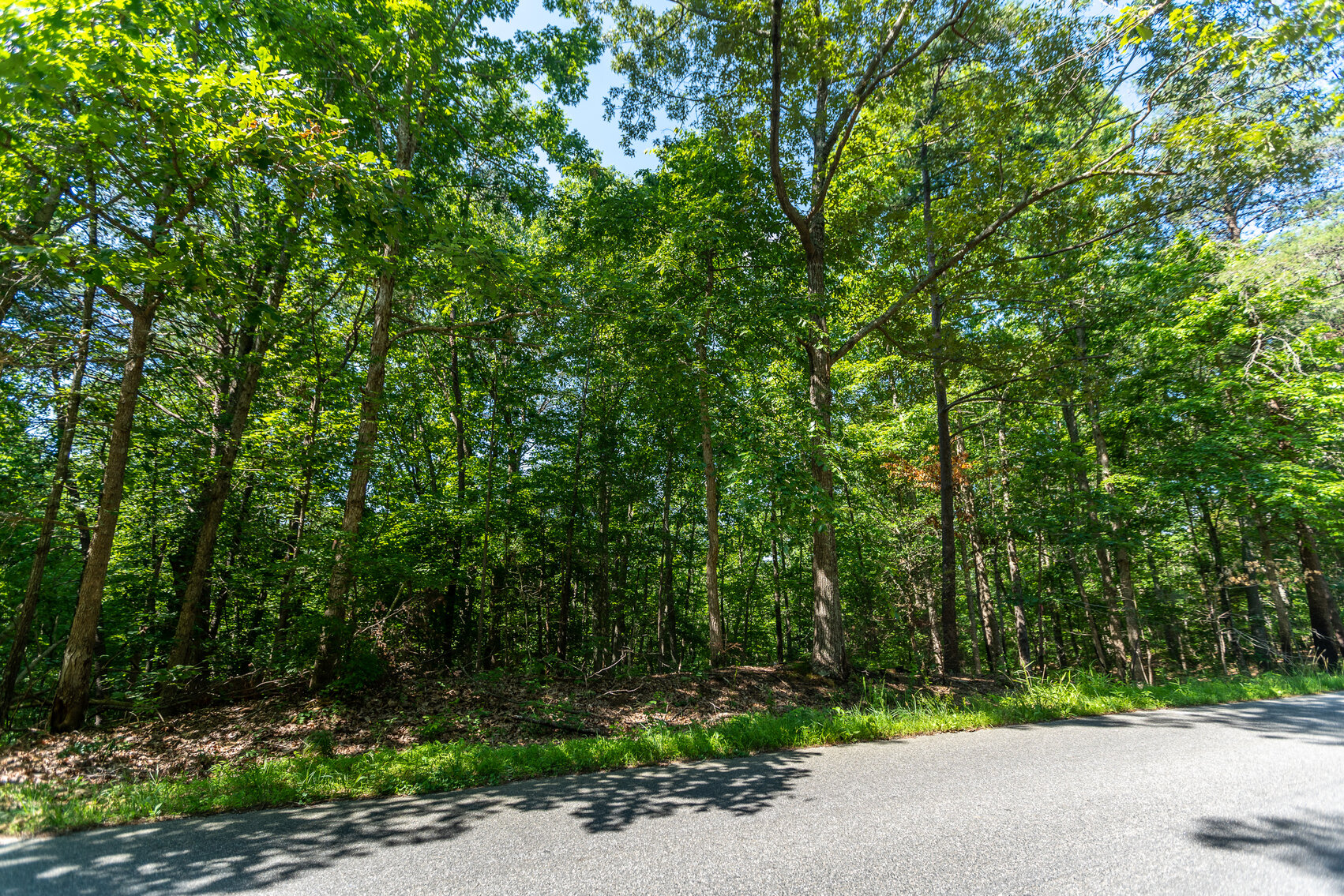 King and Queen County, VA Sale of Tax Delinquent Real Estate