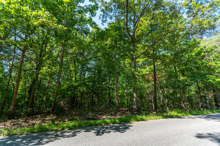 Image for King and Queen County, VA Sale of Tax Delinquent Real Estate