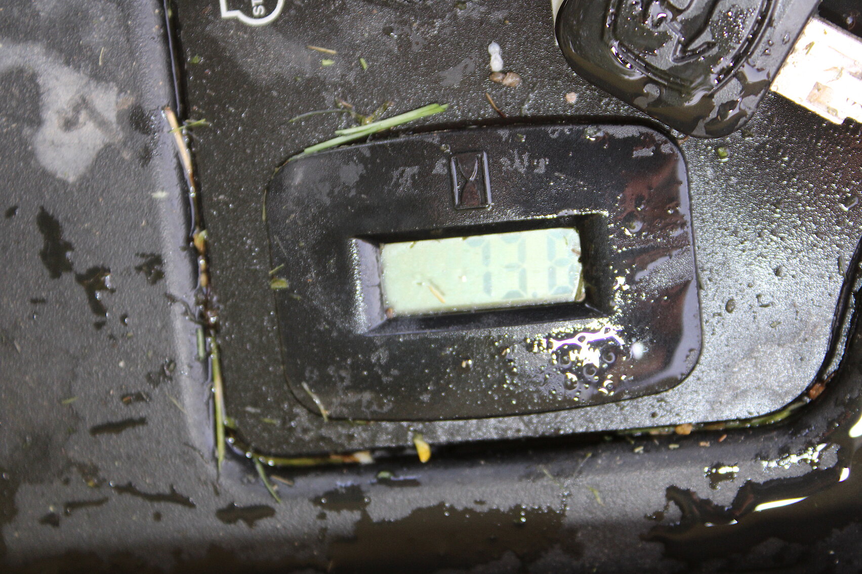 Image for SPORTSMAN'S ESTATE AUCTION