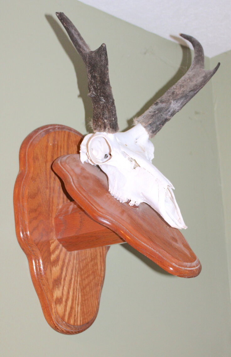 Image for SPORTSMAN'S ESTATE AUCTION