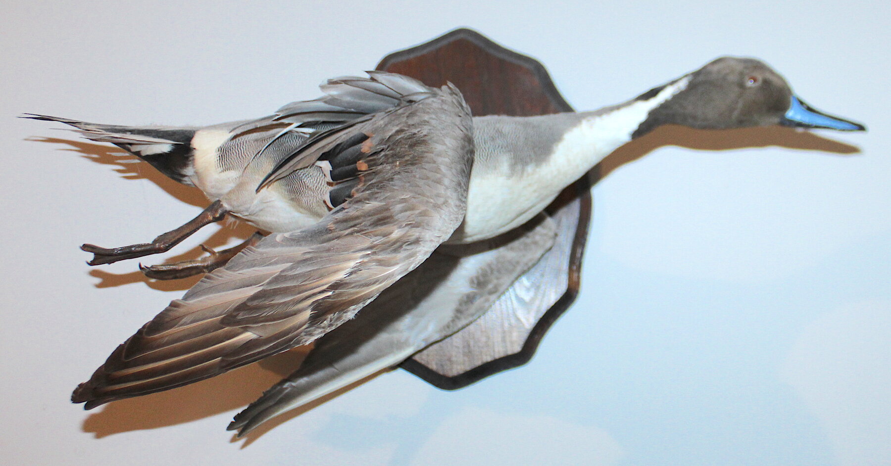 Image for SPORTSMAN'S ESTATE AUCTION