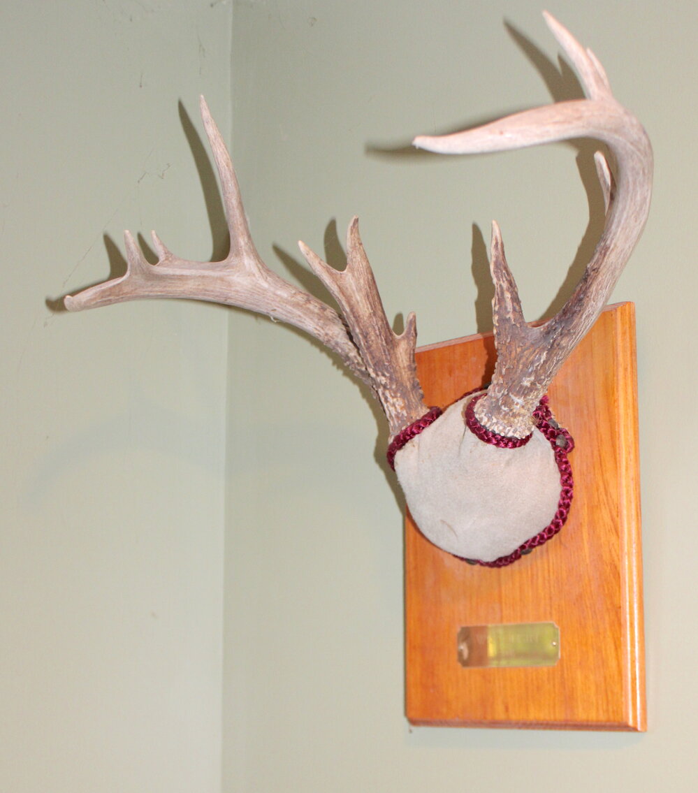 Image for SPORTSMAN'S ESTATE AUCTION