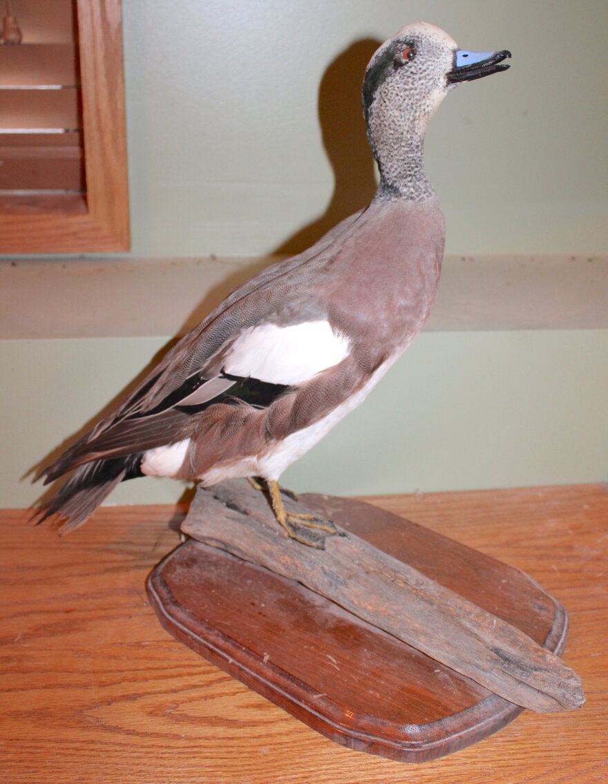 Image for SPORTSMAN'S ESTATE AUCTION