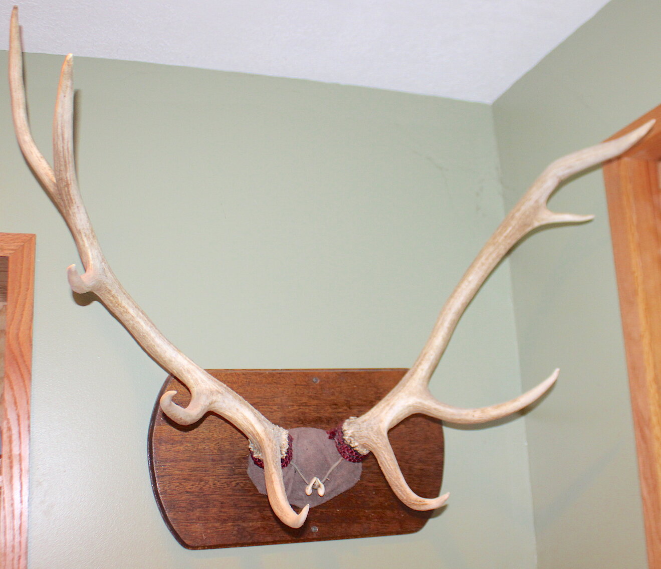 Image for SPORTSMAN'S ESTATE AUCTION