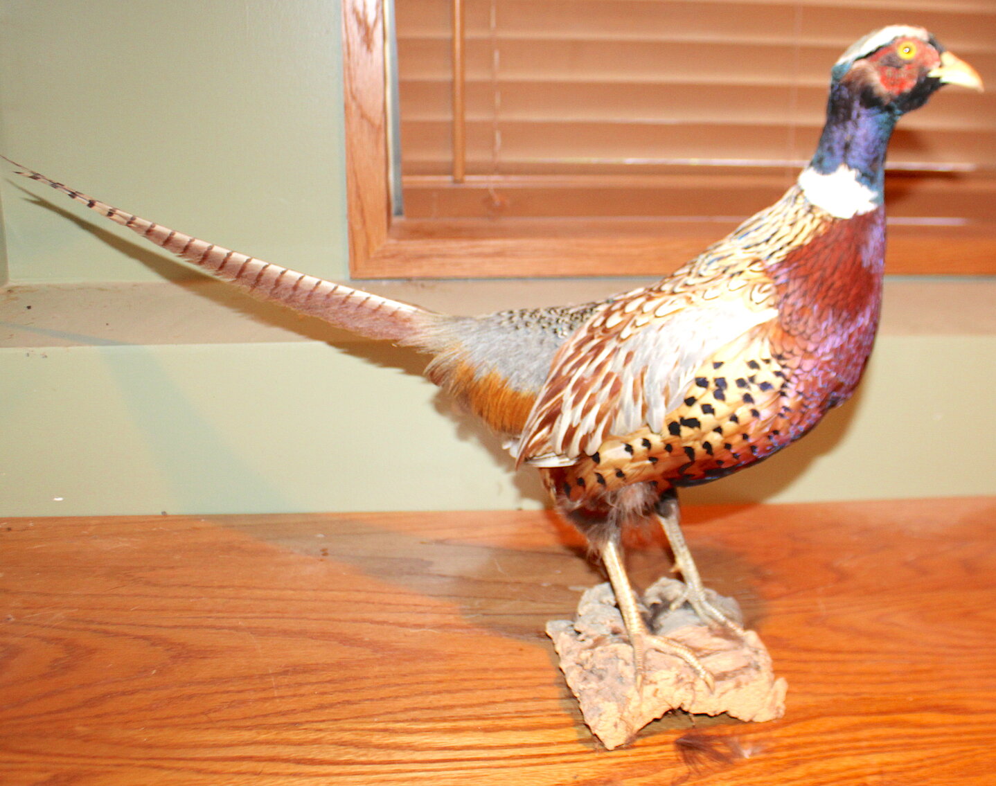 Image for SPORTSMAN'S ESTATE AUCTION