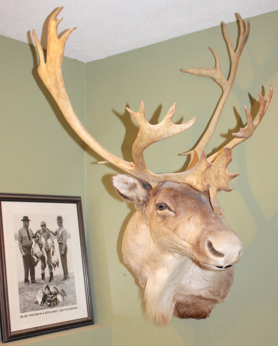 Image for SPORTSMAN'S ESTATE AUCTION