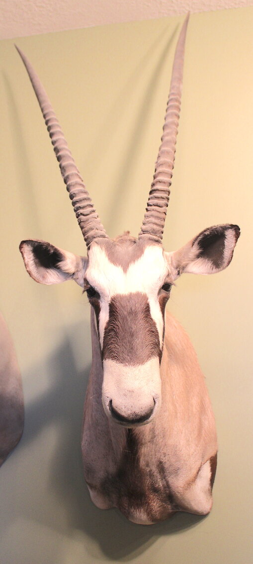 Image for SPORTSMAN'S ESTATE AUCTION