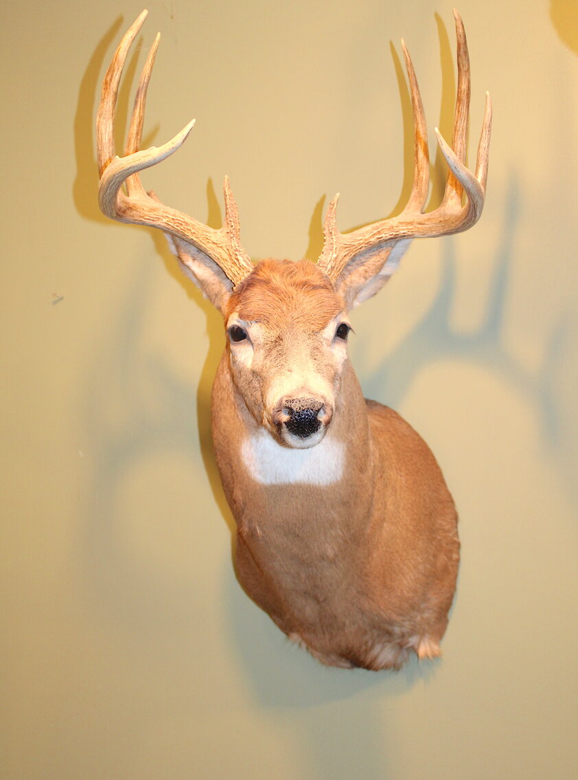 Image for SPORTSMAN'S ESTATE AUCTION