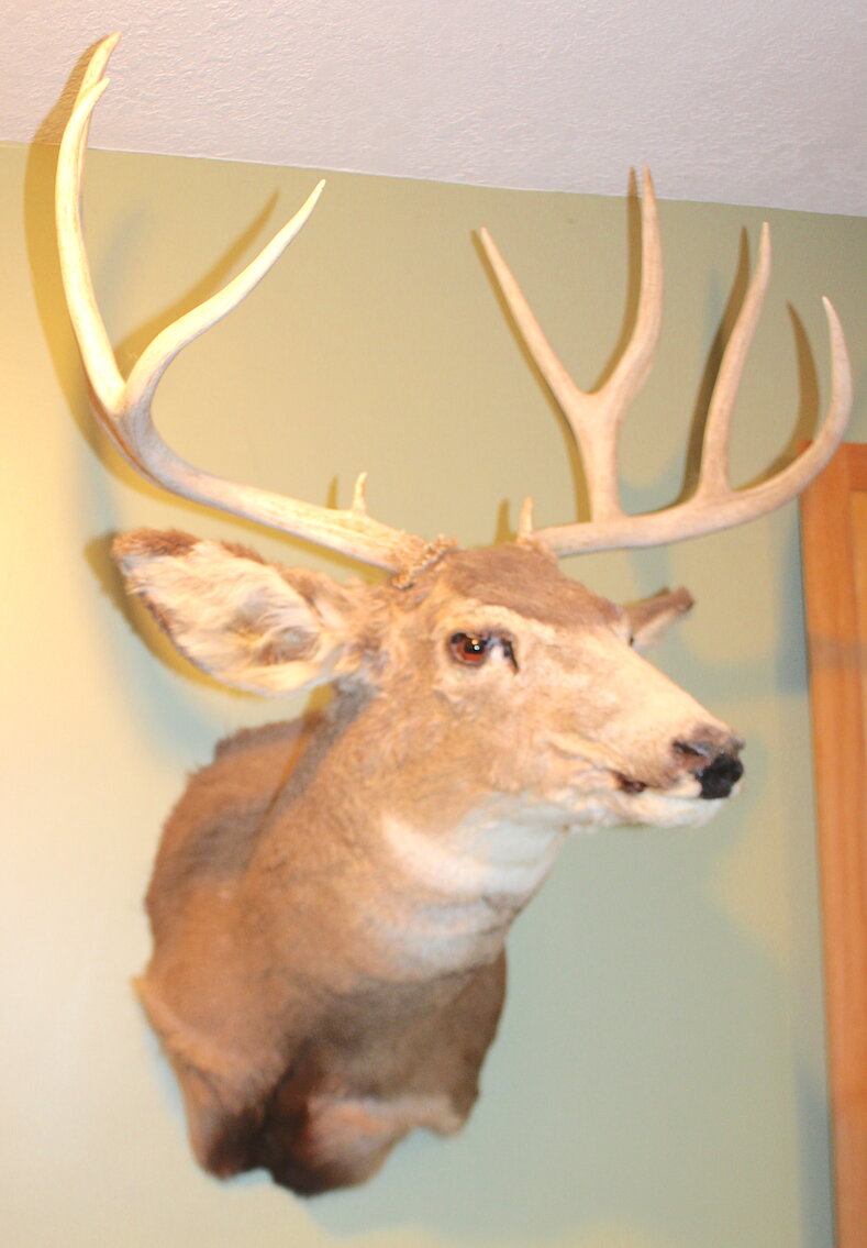 Image for SPORTSMAN'S ESTATE AUCTION