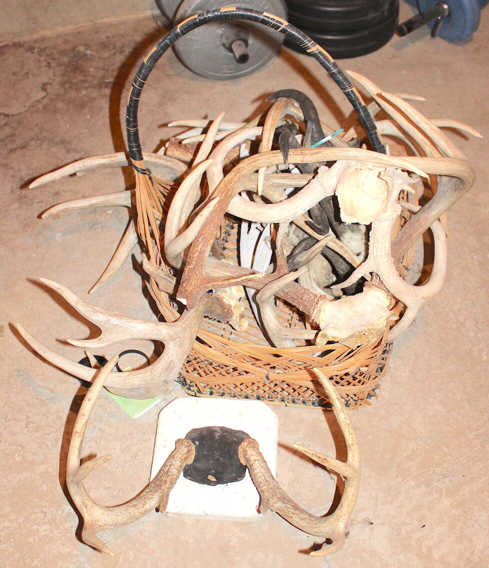 Image for SPORTSMAN'S ESTATE AUCTION