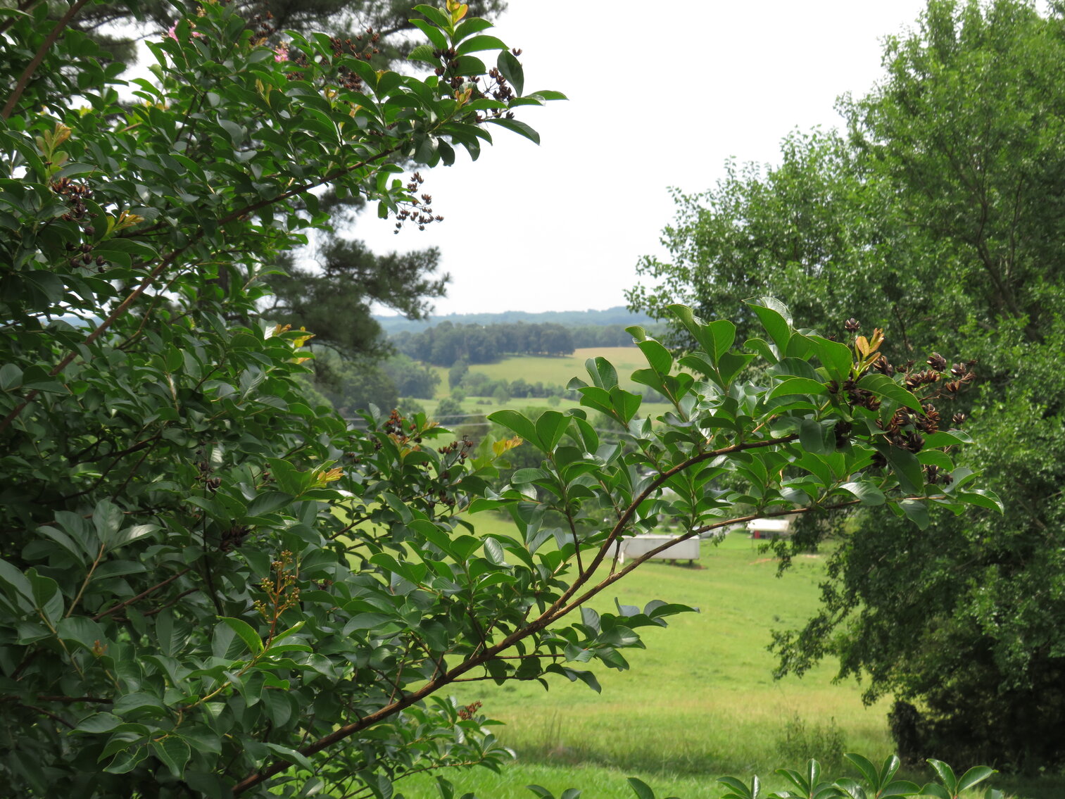 Image for 230 Gold Dust Trail, Rustburg VA 24588