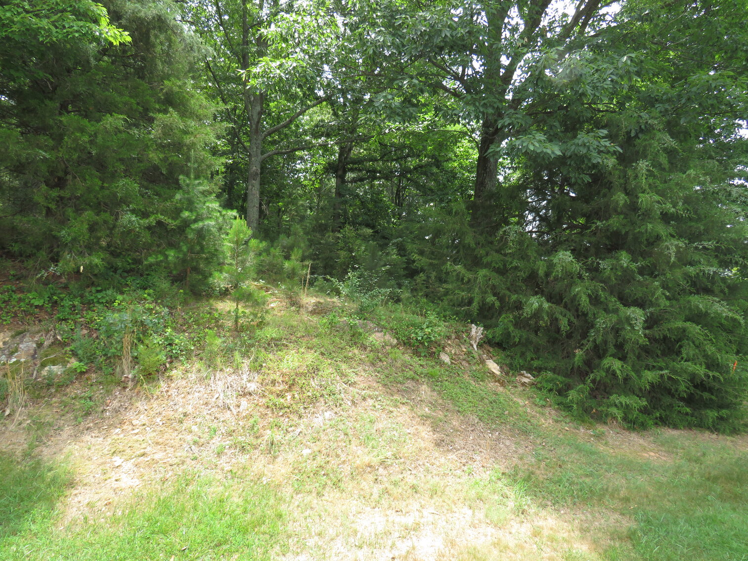 Image for 230 Gold Dust Trail, Rustburg VA 24588