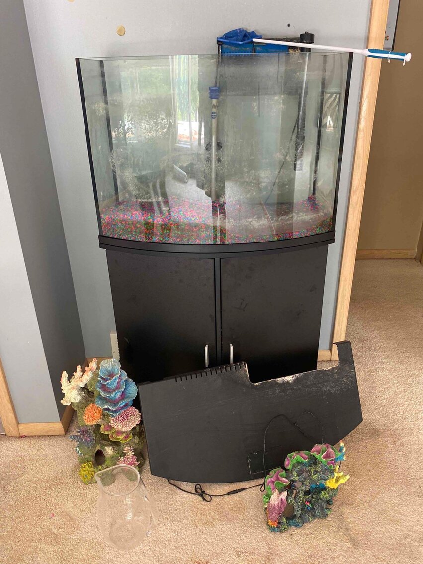 Image for Diamond/Wedding/Costume Jewelry, Home Decor, Appliances, Furniture, Bicycles, Tools, Toys / Dolls (Mill Ridge)