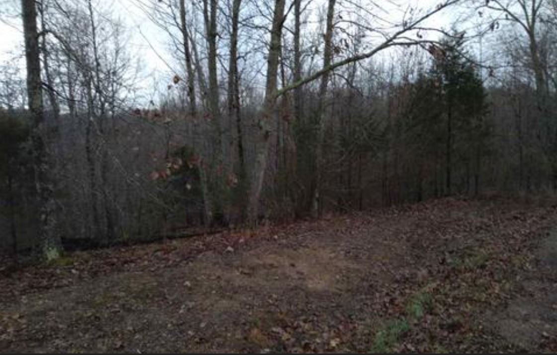 Image for Recently Renovated, 1218 Sq.  Single Family Brick Rancher on .45 Acres with an additional and adjoining 1.67 Acre parcel included. Totaling 2.13 Acres of pristine living