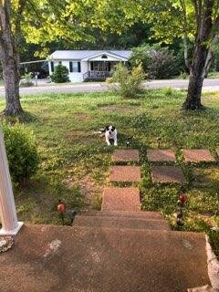 Image for Recently Renovated, 1218 Sq. Single Family Brick Rancher on .45 Acres with an additional and adjoining 1.67 Acre parcel included. Totaling 2.13 Acres of pristine living