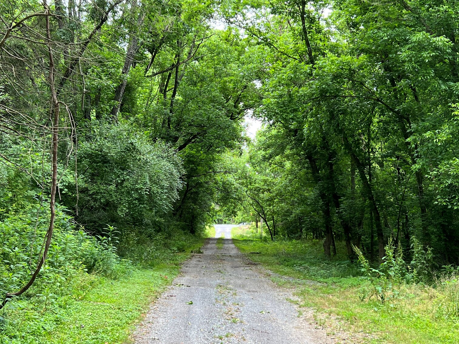 Rockbridge County, VA Sale of Tax Delinquent Real Estate