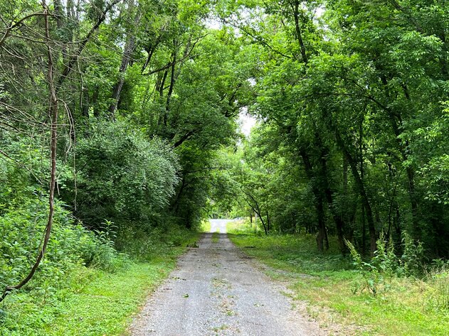 Image for Rockbridge County, VA Sale of Tax Delinquent Real Estate