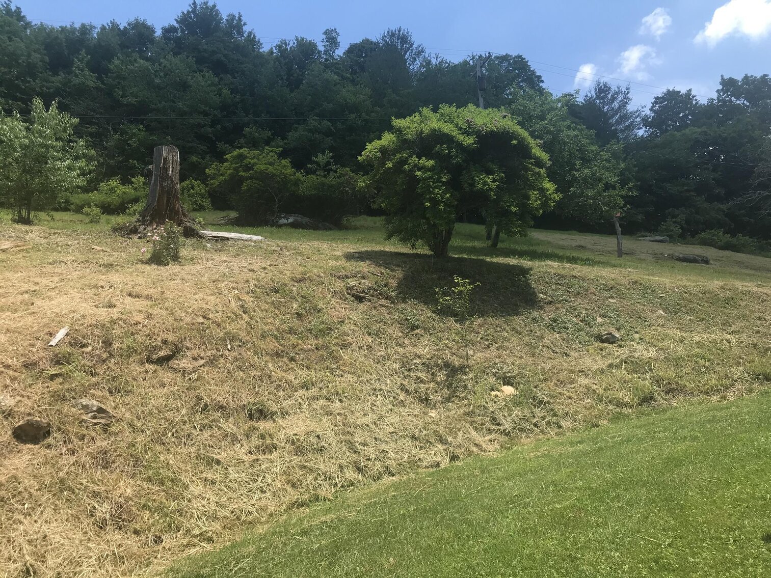 Image for SOLD $36,850 - 3 Bedroom on 4.66 Acres Selling to the Highest Bidder