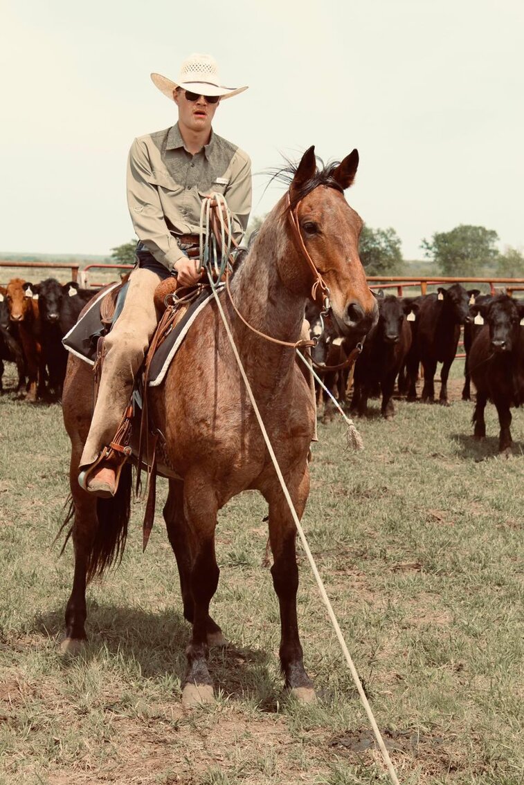 DHS Horse Sales Wednesday, July 6th Humansville, Missouri