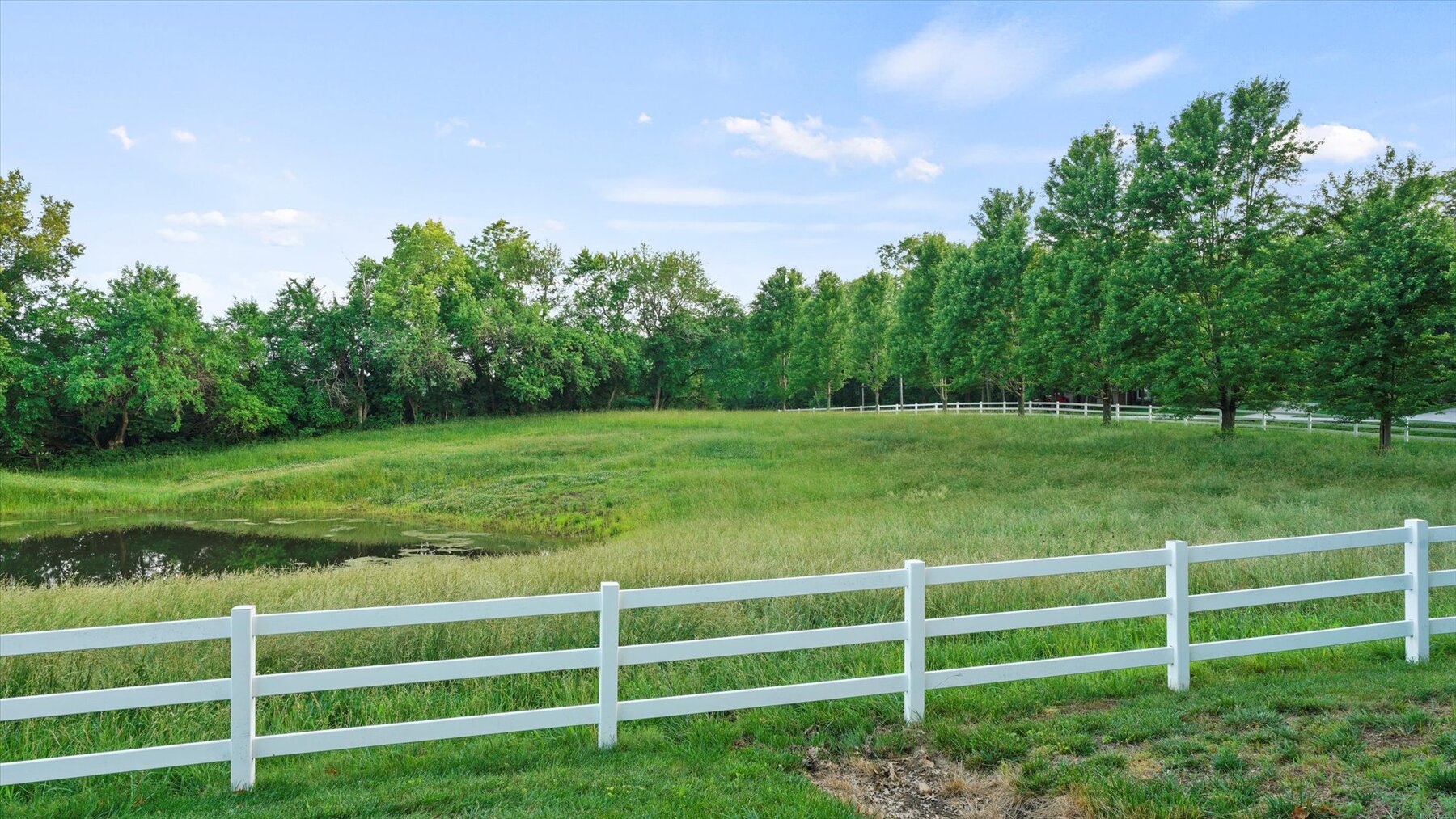 Image for SOLD - Quail Run Farm