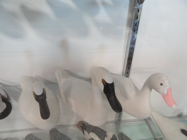 Image for Jun 30, 2022 Public Auction