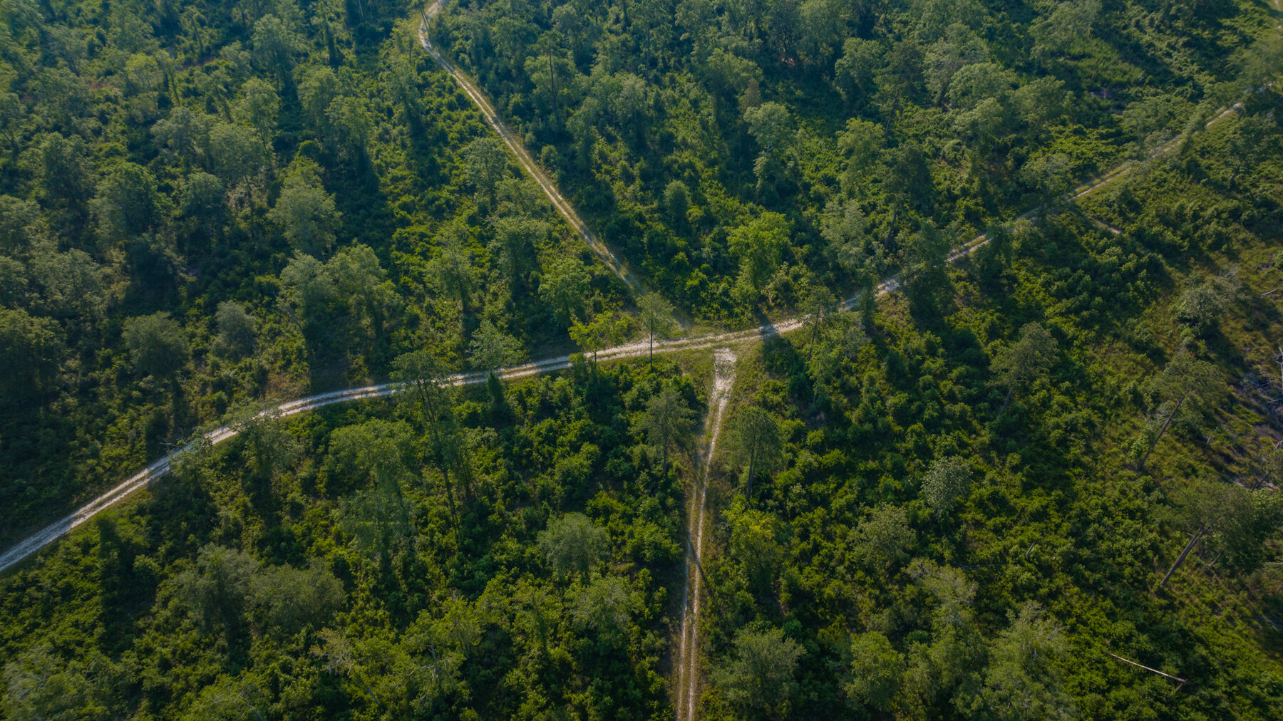 Image for 1,014+/- Acres of Prime Development Potential -Valdosta, Georgia