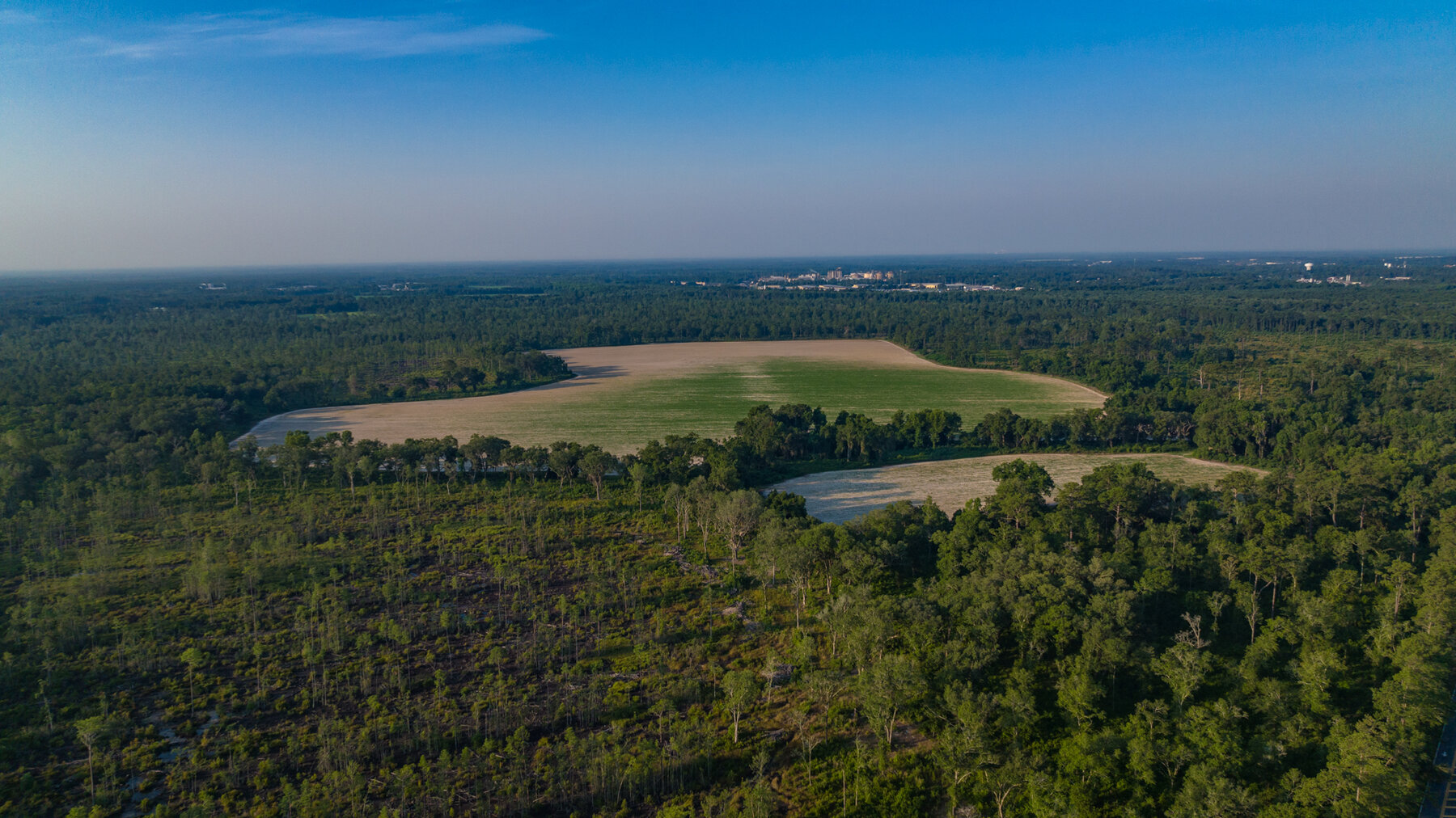 Image for 1,014+/- Acres of Prime Development Potential -Valdosta, Georgia
