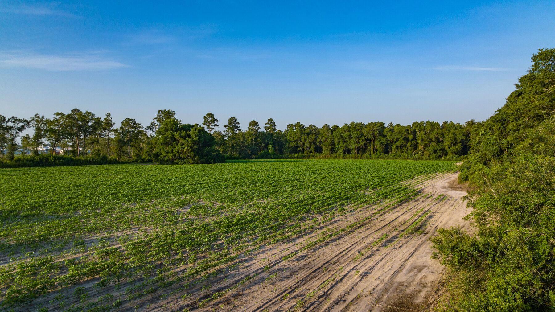 Image for 1,014+/- Acres of Prime Development Potential -Valdosta, Georgia