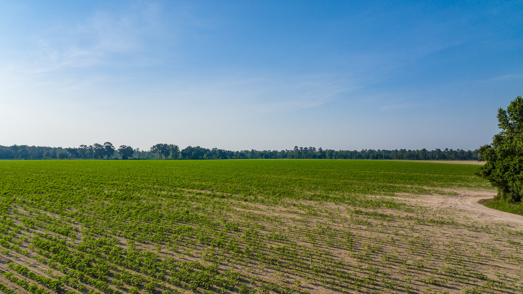 Image for 1,014+/- Acres of Prime Development Potential -Valdosta, Georgia