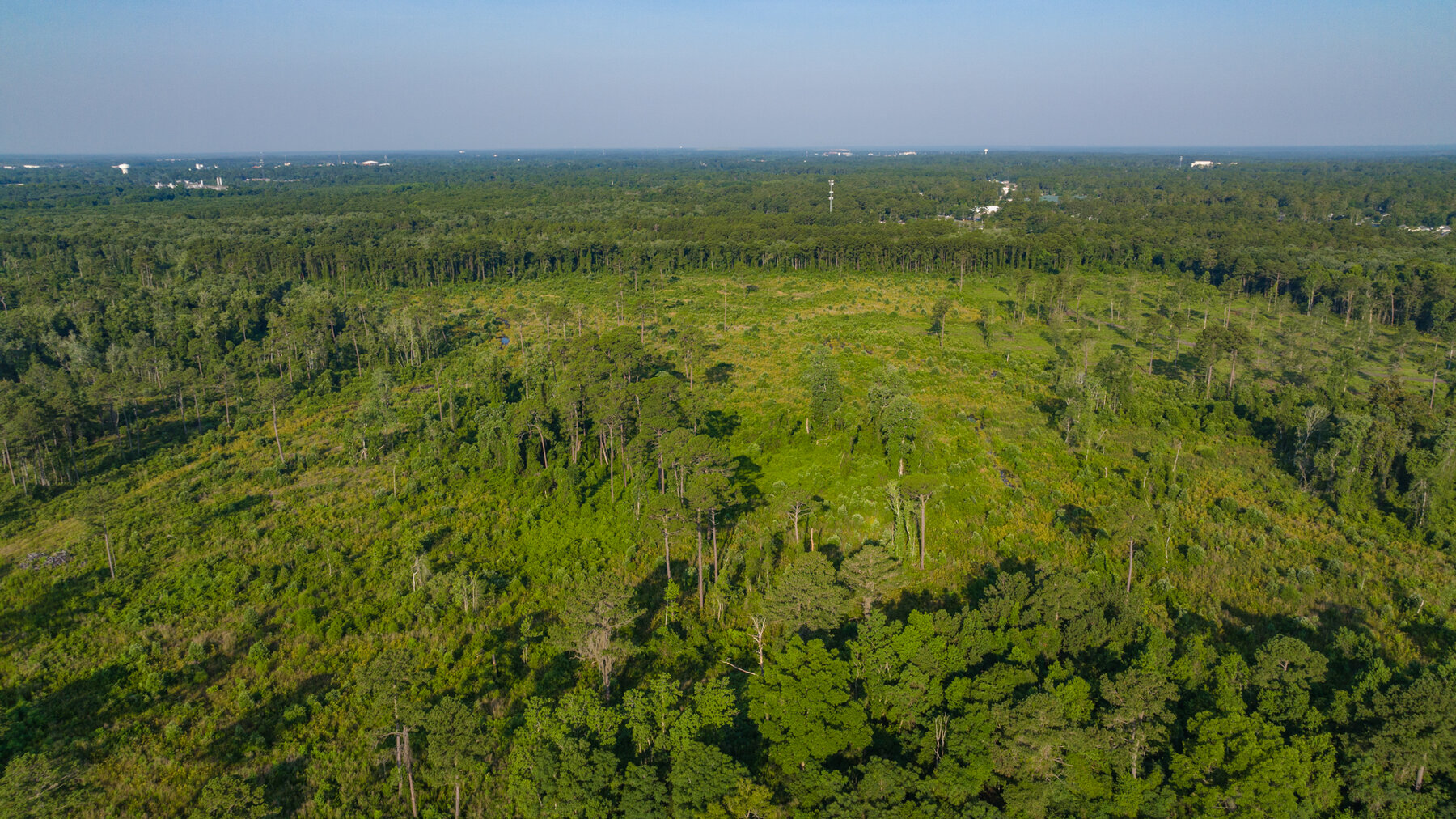 Image for 1,014+/- Acres of Prime Development Potential -Valdosta, Georgia
