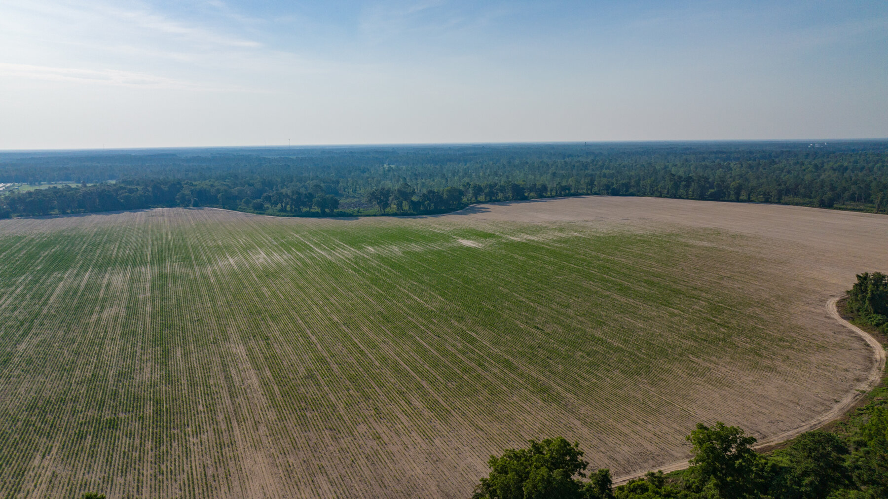 Image for 1,014+/- Acres of Prime Development Potential -Valdosta, Georgia
