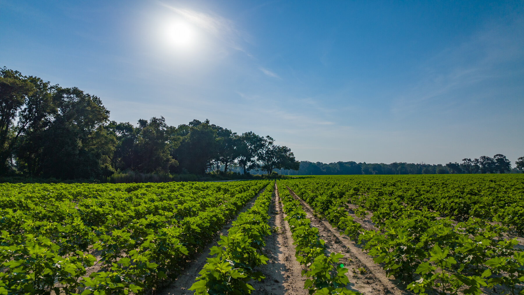 Image for 1,014+/- Acres of Prime Development Potential -Valdosta, Georgia