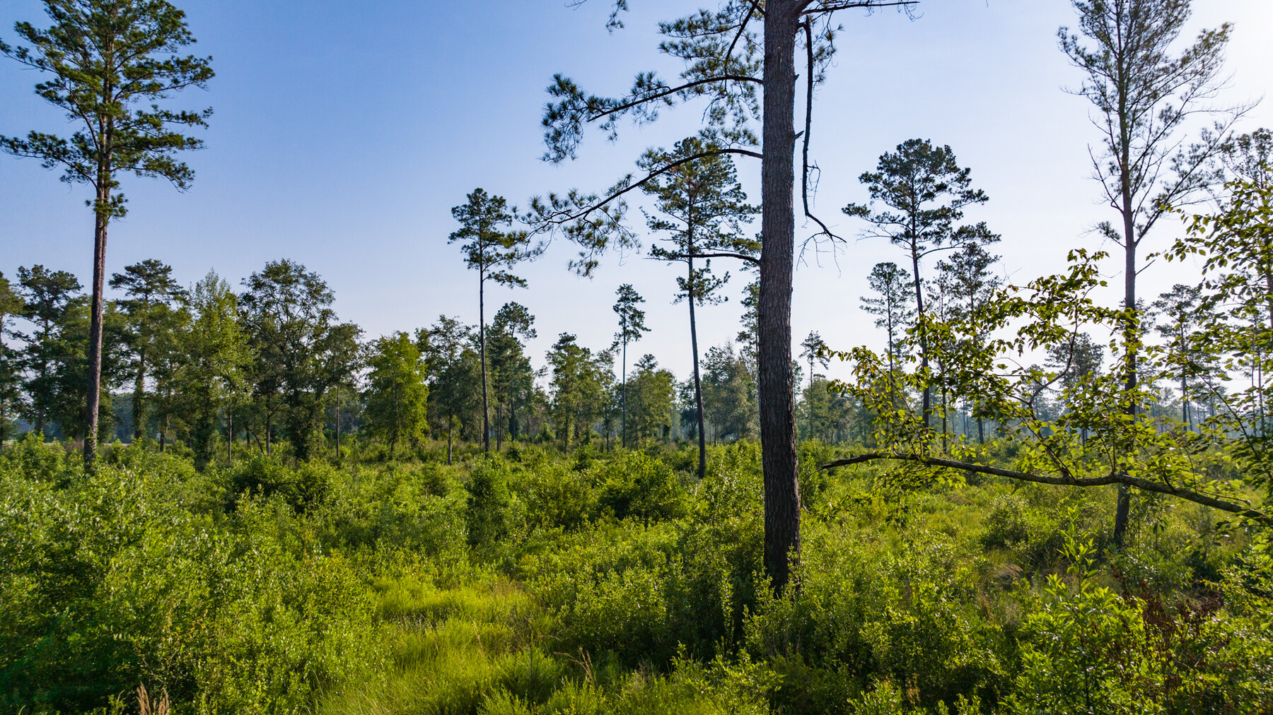 Image for 1,014+/- Acres of Prime Development Potential -Valdosta, Georgia