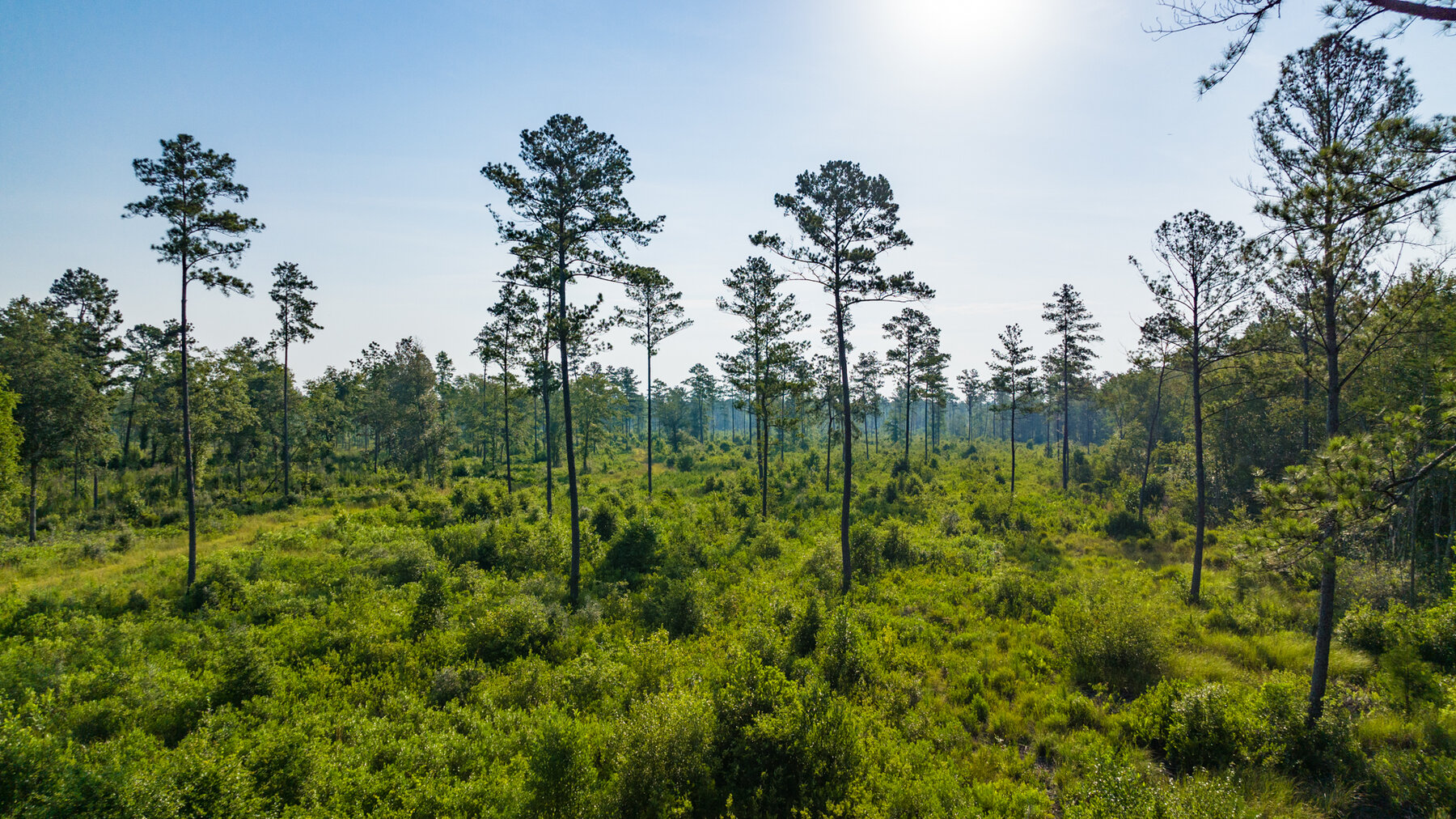 Image for 1,014+/- Acres of Prime Development Potential -Valdosta, Georgia