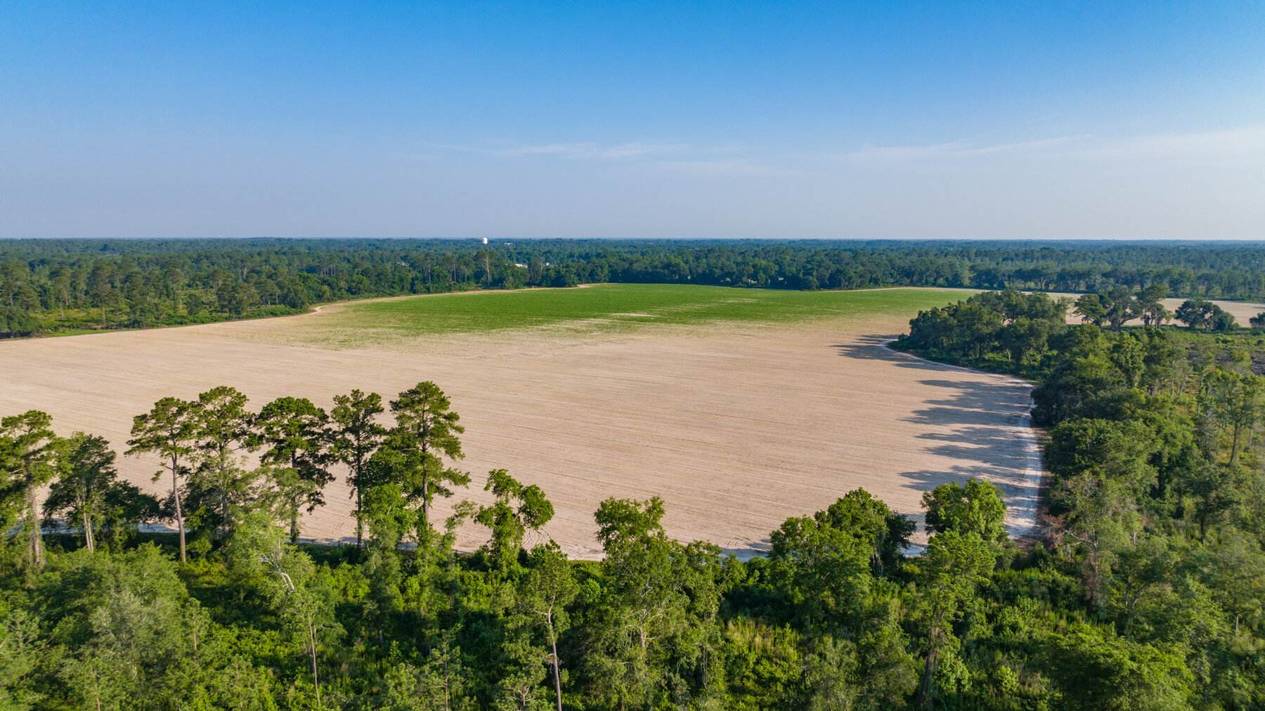 Image for 1,014+/- Acres of Prime Development Potential -Valdosta, Georgia